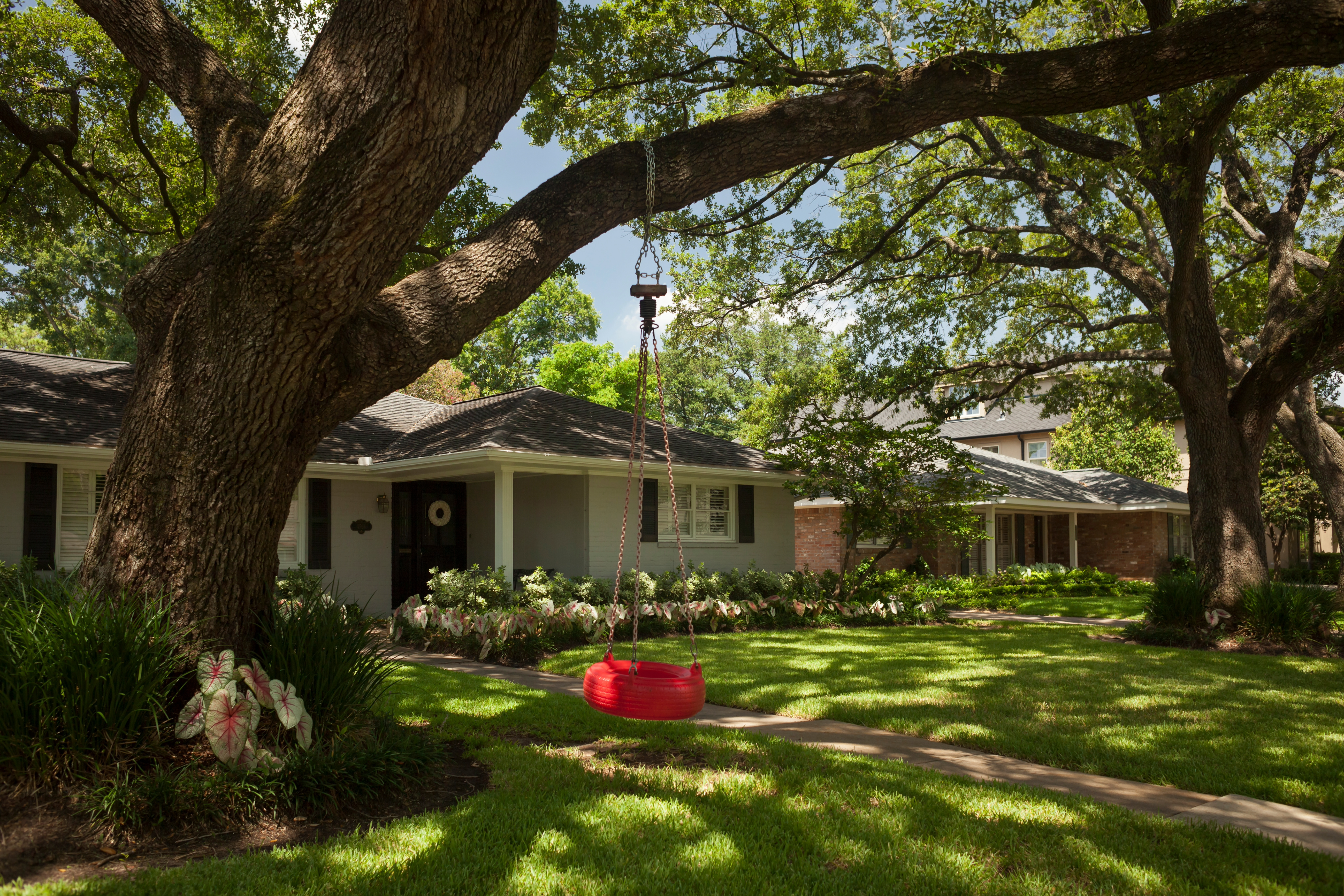 Image of House, Lawn, and Tree